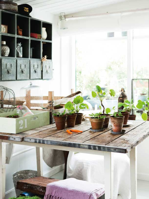 Orangerie-2