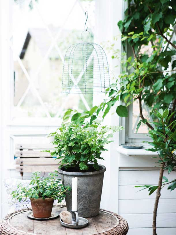 Orangerie-5