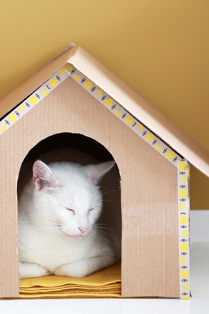 DIY kattenhuis van karton
