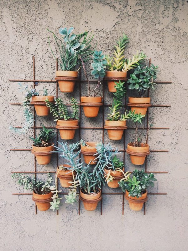 gaas tuin potten planten gaas tuin potten planten